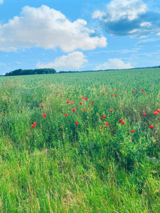 Ferienwohnung Irmchen Altglobsow Eksteriør bilde